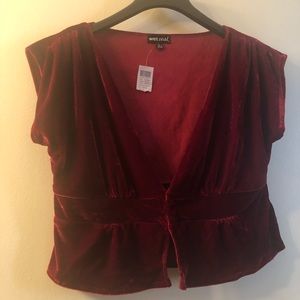 Wet seal Fly Away Velvet Crop Top Size L!